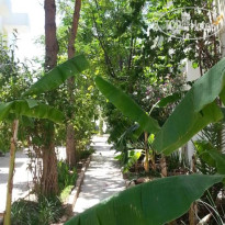 Florida Hotel