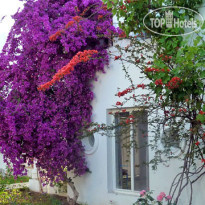 Tamarisk Beach Hotel