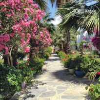 Tamarisk Beach Hotel