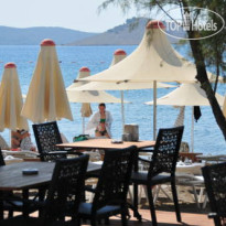 Dilekagac Hotel