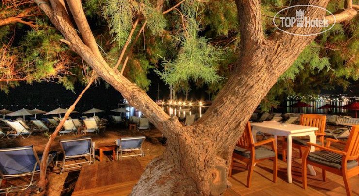 New photos from tourists Meggs Bodrum Beach Restaurant & Hotel