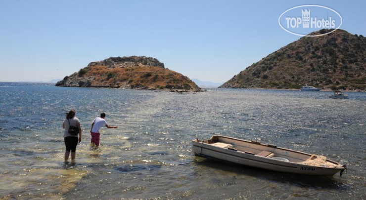 New photos from tourists Club Hotel Zemda 