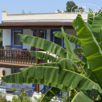 Paradise Garden Gumusluk Evleri 