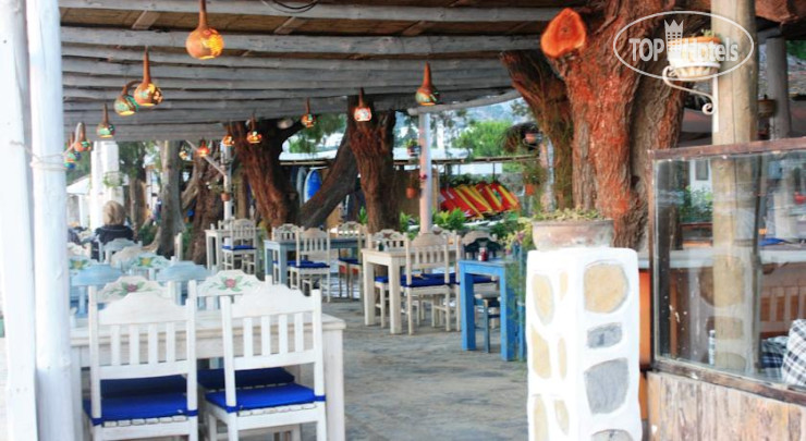 New photos from tourists Ozak Pension