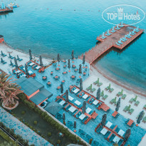 The Norm Collection Doora