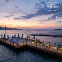 The Norm Collection Doora 