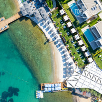 The Norm Collection Doora 