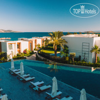 The Norm Collection Doora