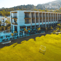 The Norm Collection Doora