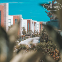 The Norm Collection Doora