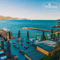 The Norm Collection Doora