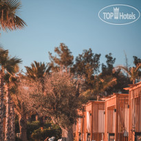 The Norm Collection Doora