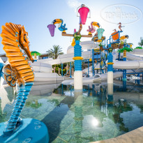 The Norm Collection Doora 