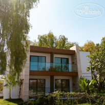 The Norm Collection Doora