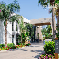 The Norm Collection Doora