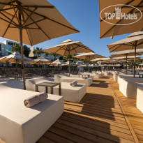 The Norm Collection Doora