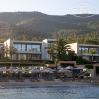 The Norm Collection Doora