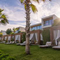 The Norm Collection Doora