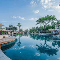 The Norm Collection Doora