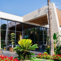 The Norm Collection Doora