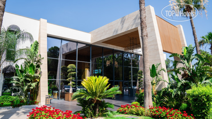 The Norm Collection Doora