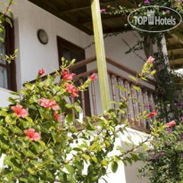 Delfi Hotel & Spa
