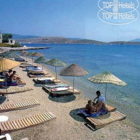 Rexene Resort
