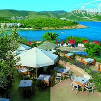 Ora Tatil Koyu