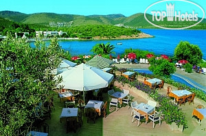 Ora Tatil Koyu