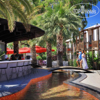 Marvida Senses Very Chic 