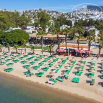 Marvida Senses Very Chic 