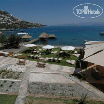 Terassu Hotel Special Cat. 