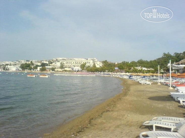 Пляж в Phoenix Sun Hotel 4*