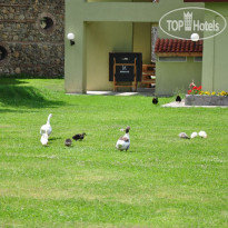 Gazelle Resort & Spa Hotel