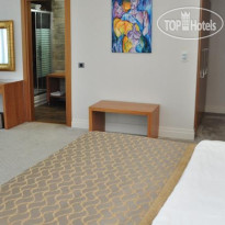 Asia Artemis Suite 