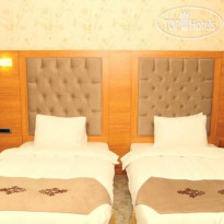 Asia Artemis Suite 