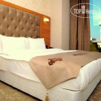 Asia Artemis Suite 