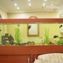 Yonca Hotel Лобби