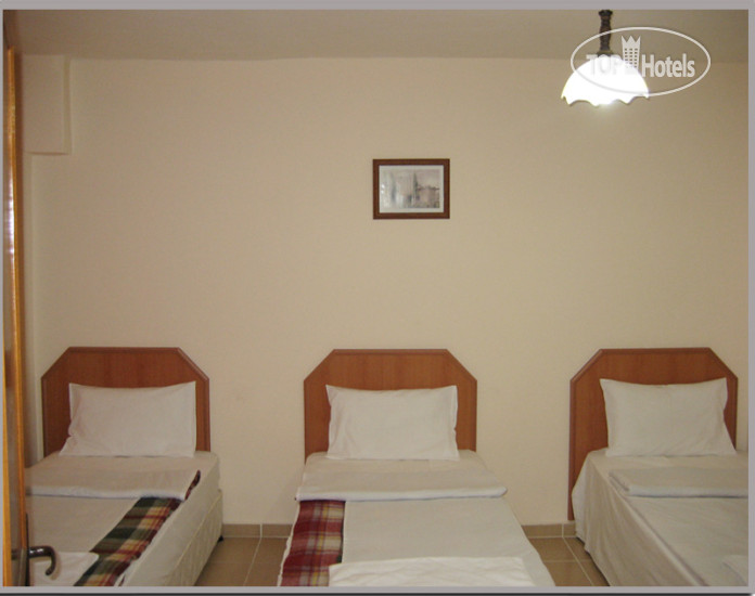 New photos from tourists Ekol Hotel