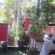 Indo Hotel 