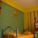 Stray Cat Hostel 