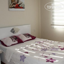 Fox Apart & Konaklama 