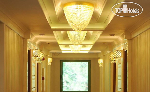 Новые добавленные фото туристов Asia Royal Suite Hotel 