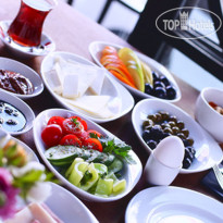 The Haze Karakoy