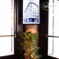 The Haze Karakoy