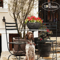 Lokum Ev Suites Beyoglu 