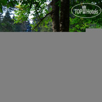 Livera Camping Hotel 