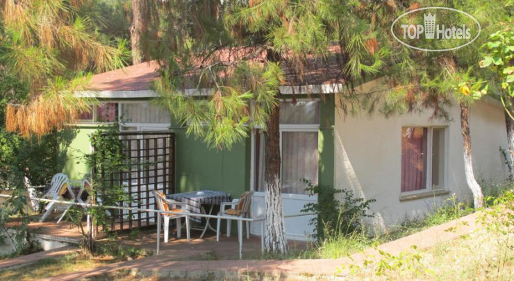 New photos from tourists Yorukali Tesisleri Motel