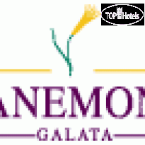 Anemon Koleksiyon Galata Otel