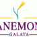 Anemon Koleksiyon Galata Otel 